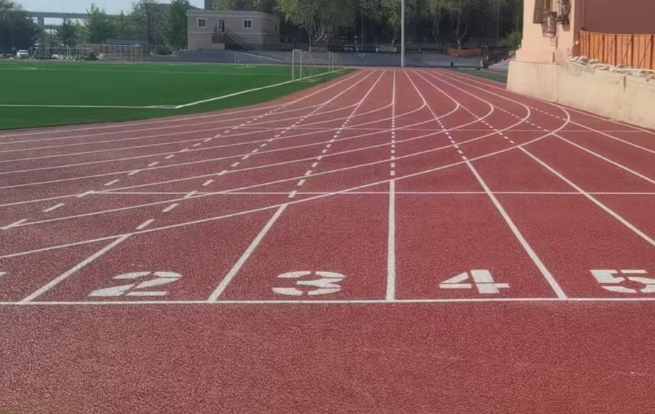 呼伦贝尔市足球场人造草坪学校运动操场 - 排名